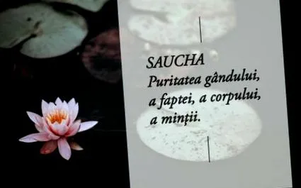 современите јоги