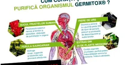 wormex wormex