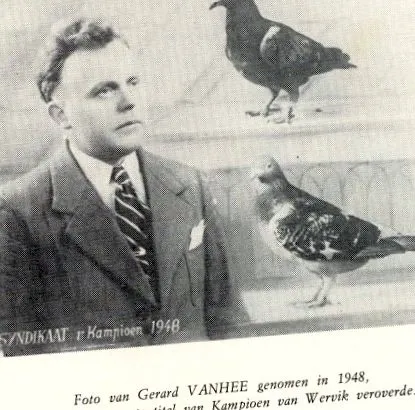 натпревари