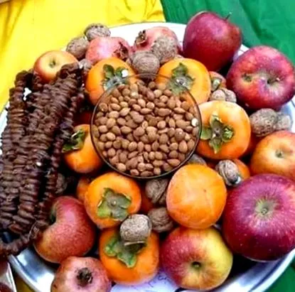 élettartamú élettartamú