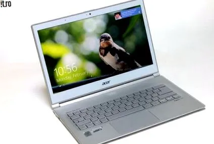 acer