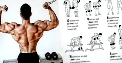 bicepsz