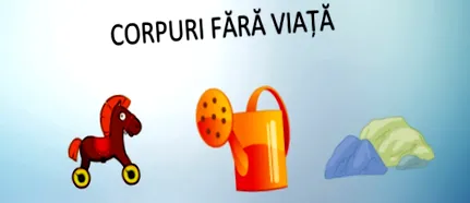 ktoré