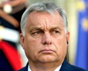 само колку