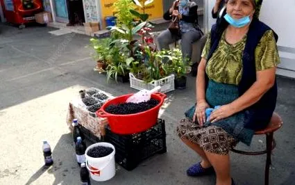 áfonya