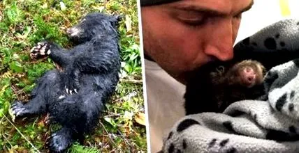 szoptató