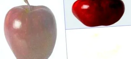 jeleníti