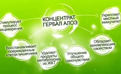 aloe herbalife