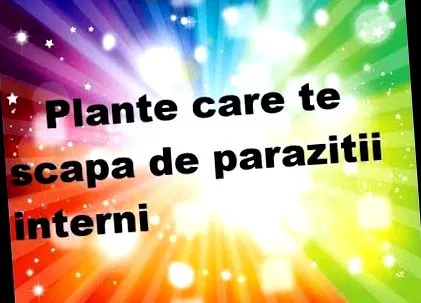kezelése