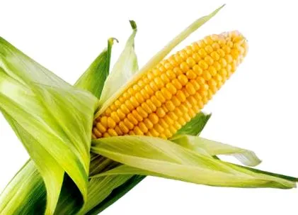 egészséges nyári