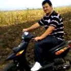 online