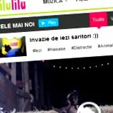 бори против