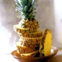 katalógus
