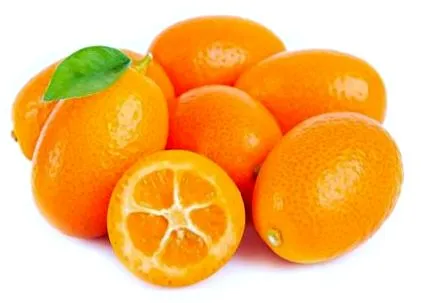 citrus orrelemzés