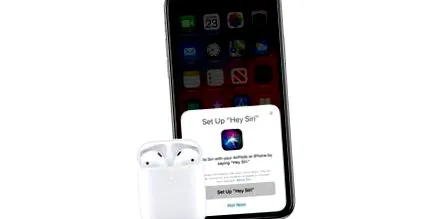 apple jobb