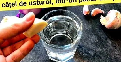 előkészítése