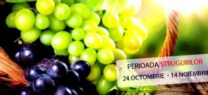 грозје центар