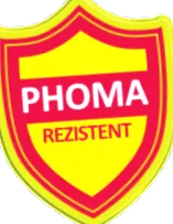 романија