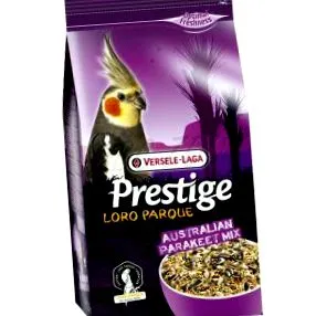 papagáj közepes