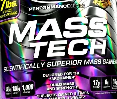 muscle