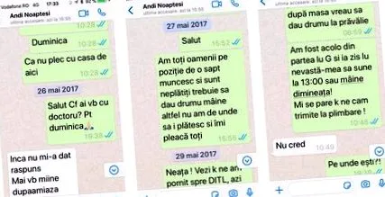 kutya