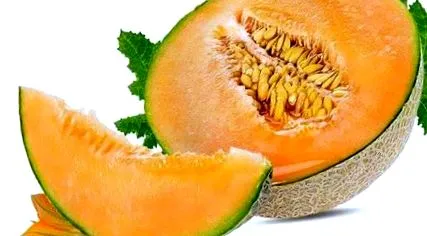 dinnye