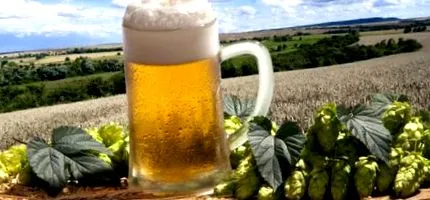korsó