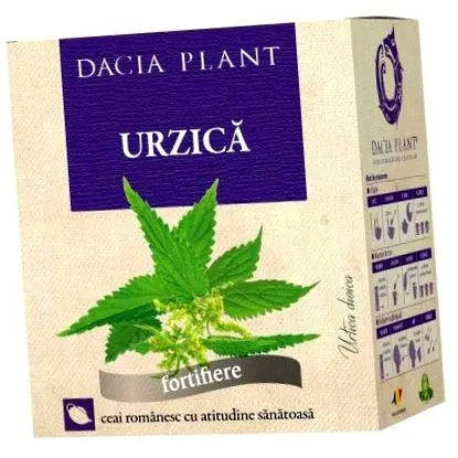 foltos testvér