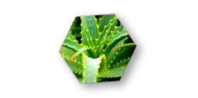 okos