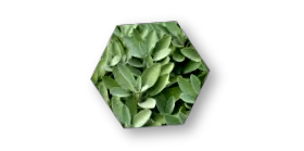 okos