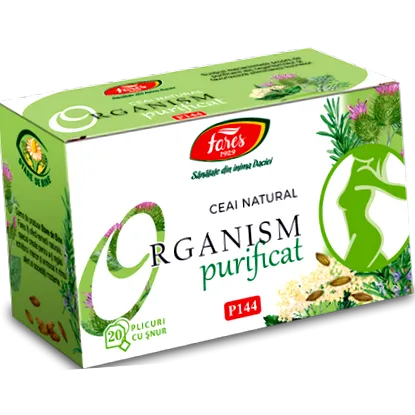 foltos testvér
