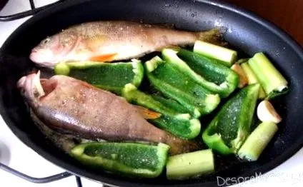 süllő