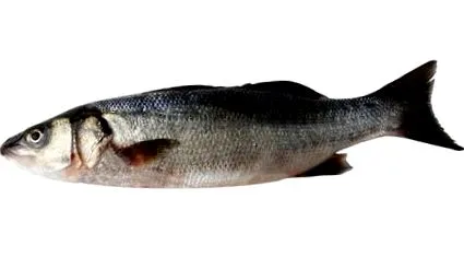 tengeri