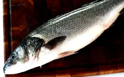 tengeri