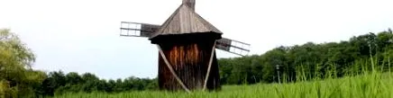ласкаво