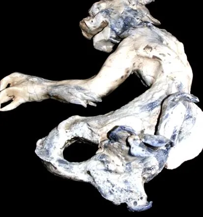 истории mermaid