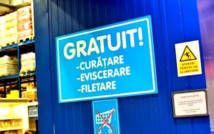 dobrogean dobrogean