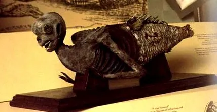 mermaid странно