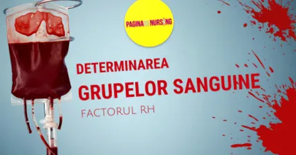 ápolási