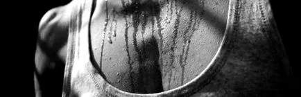 oldal terra