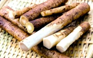burdock