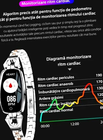 fitnesz fitnesz