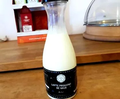 Házi joghurt