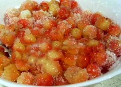 парче лето