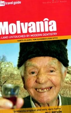 Moldovai Köztársaság