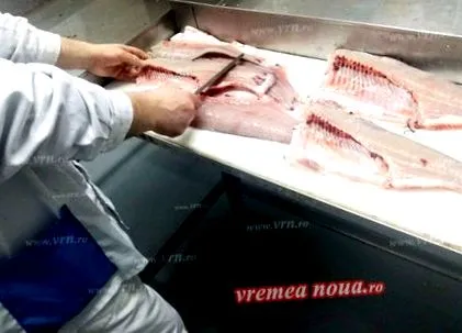 vaslui kolbásszal