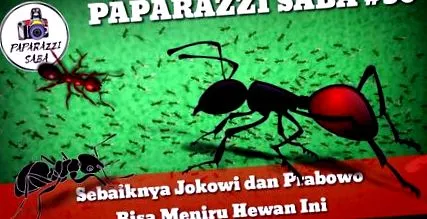 bélparazitákat egészségügyi