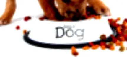 zdravý