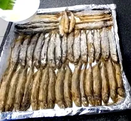 кора капелин