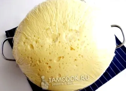 пилешко